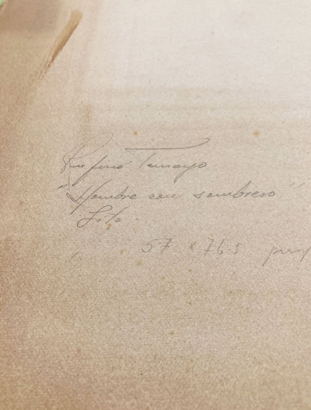 Hombre en Fondo Verde 3