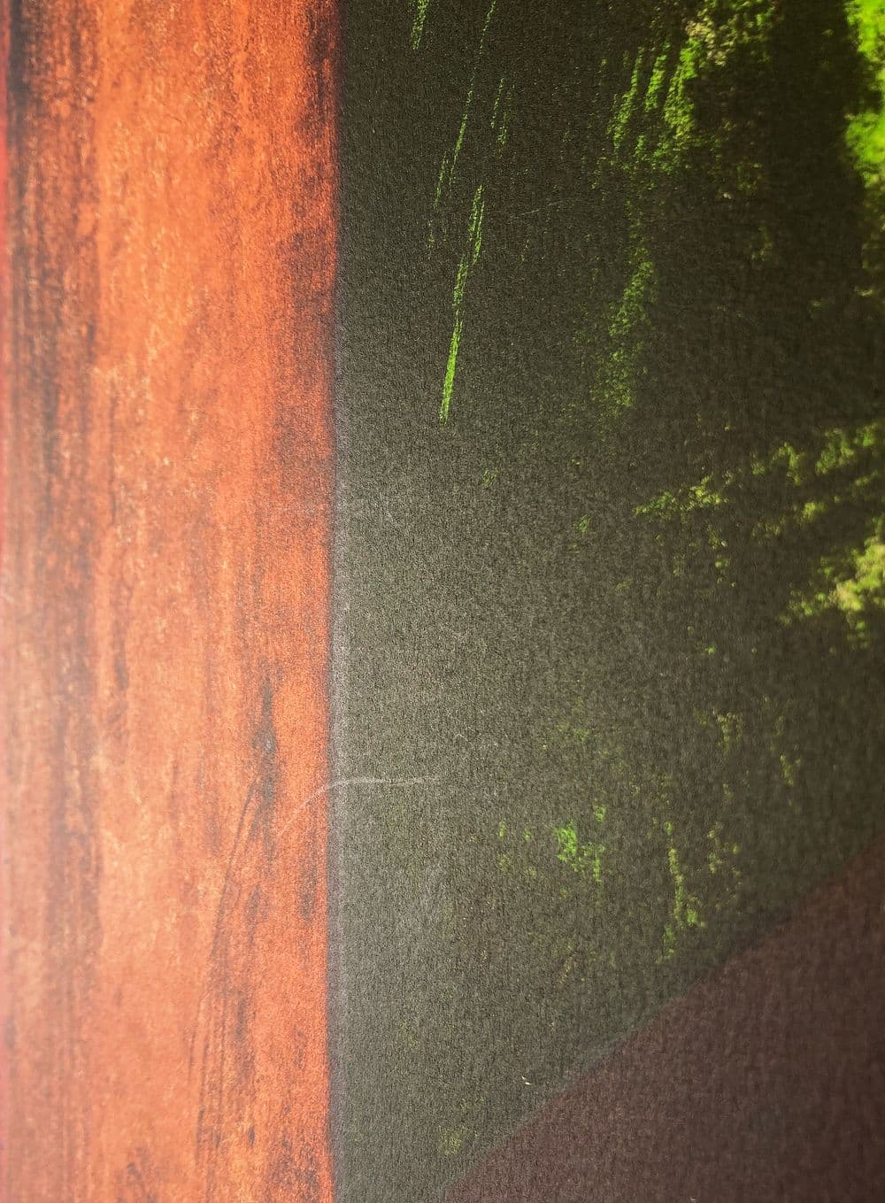 Hombre en Fondo Verde 5