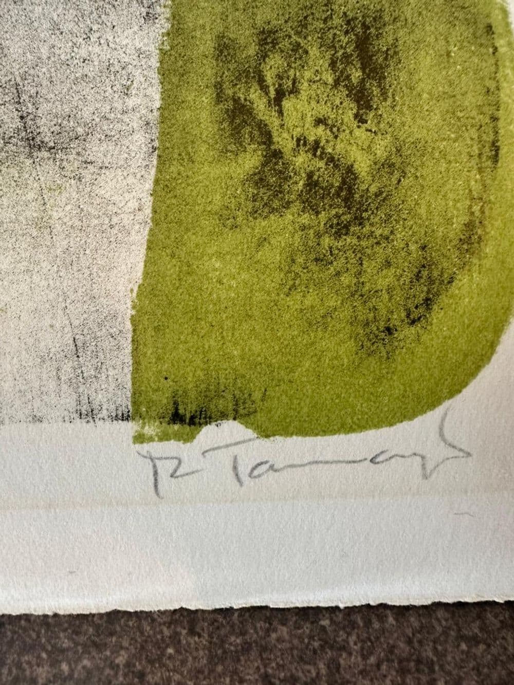 Mujer con Medias Malva 4